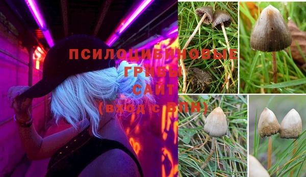 стаф Баксан