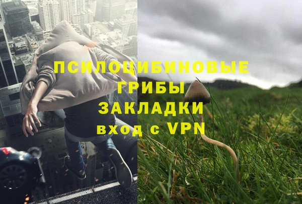 трава Балахна