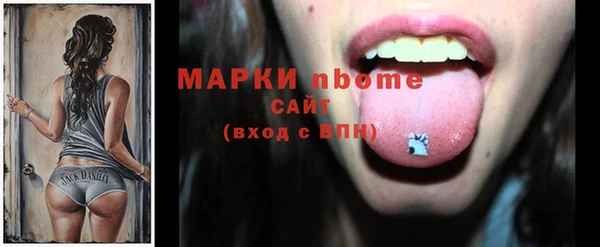 стафф Заводоуковск
