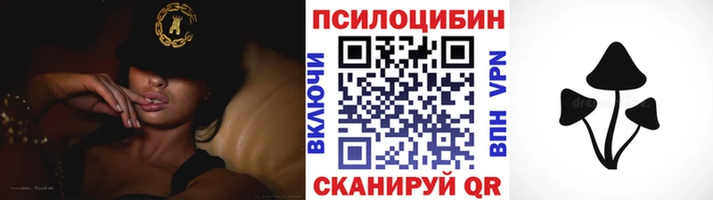 дарнет шоп  Шагонар  Галлюциногенные грибы Psilocybine cubensis 