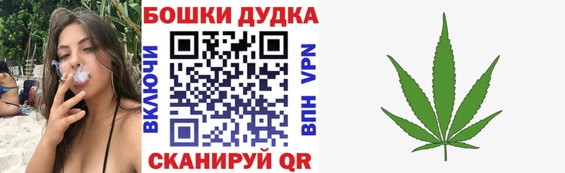 что такое   Шагонар  Канабис VHQ 